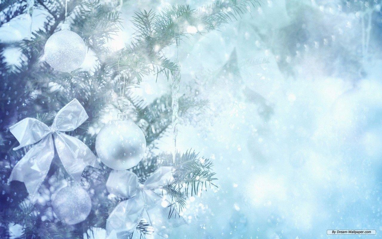 Free Winter Animal Desktop Wallpaper, Beautiful