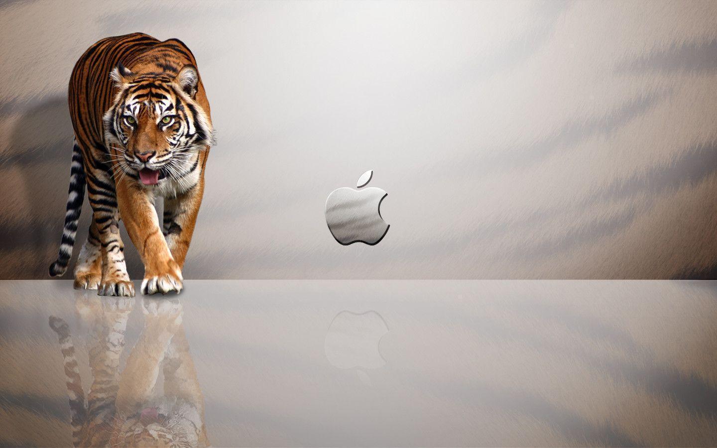 desktop wallpaper for mac