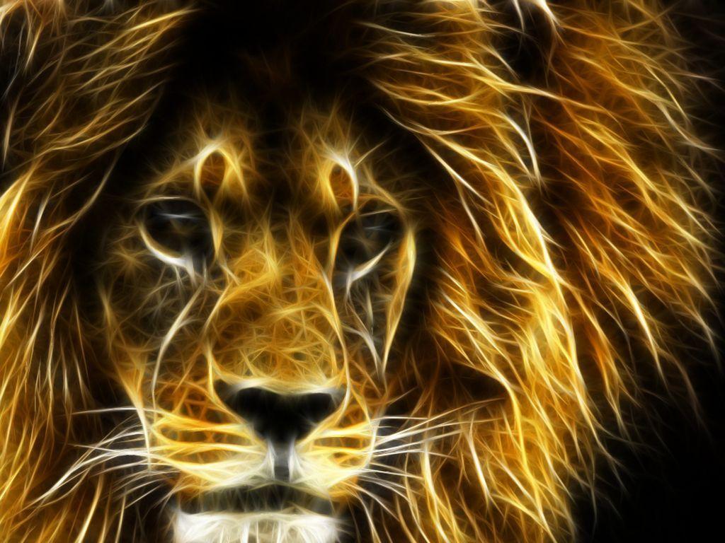 lion 3D wallpaper download. walljpeg