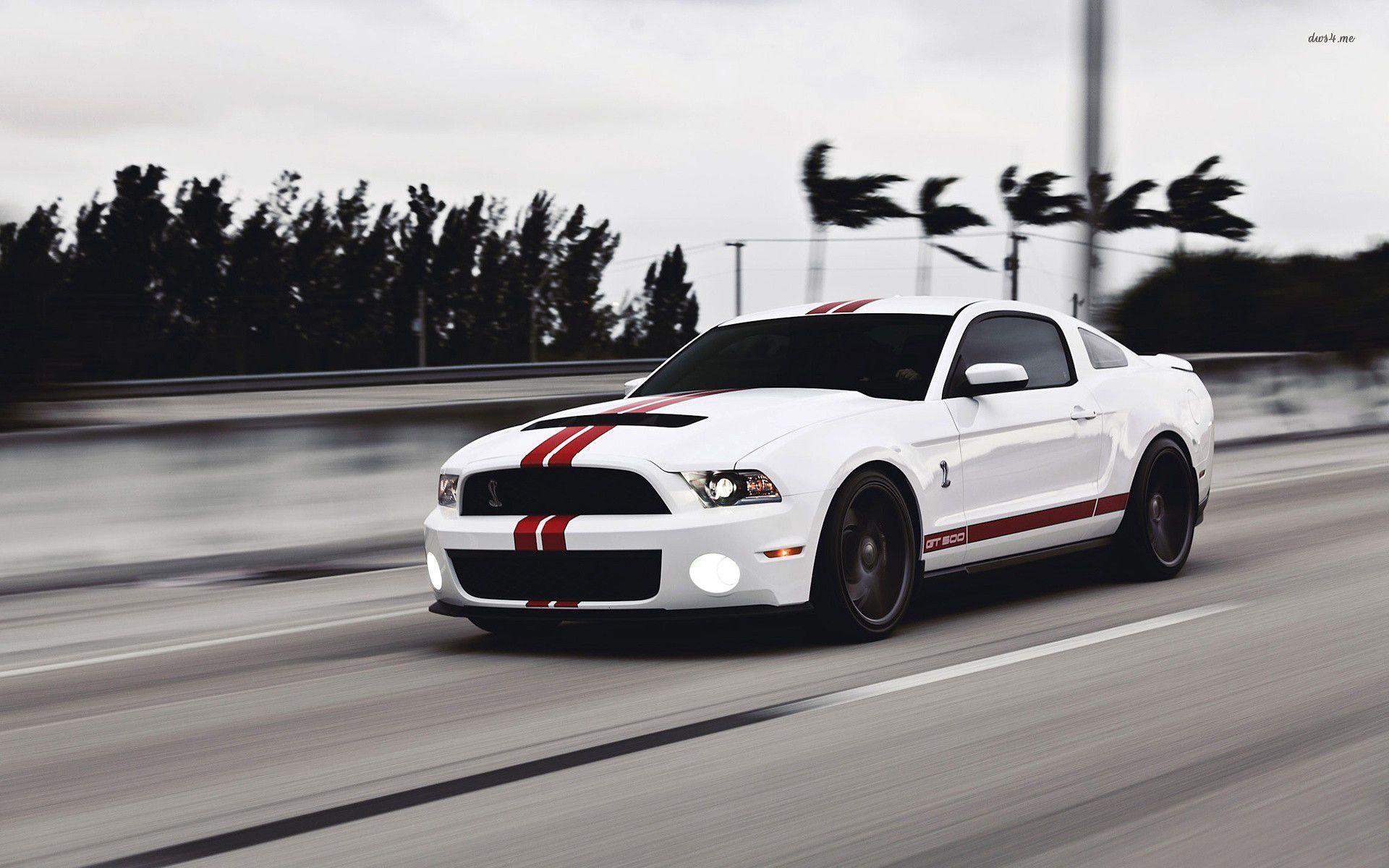 Mustang-Logo-Wallpapers---Wallpaper-Cave