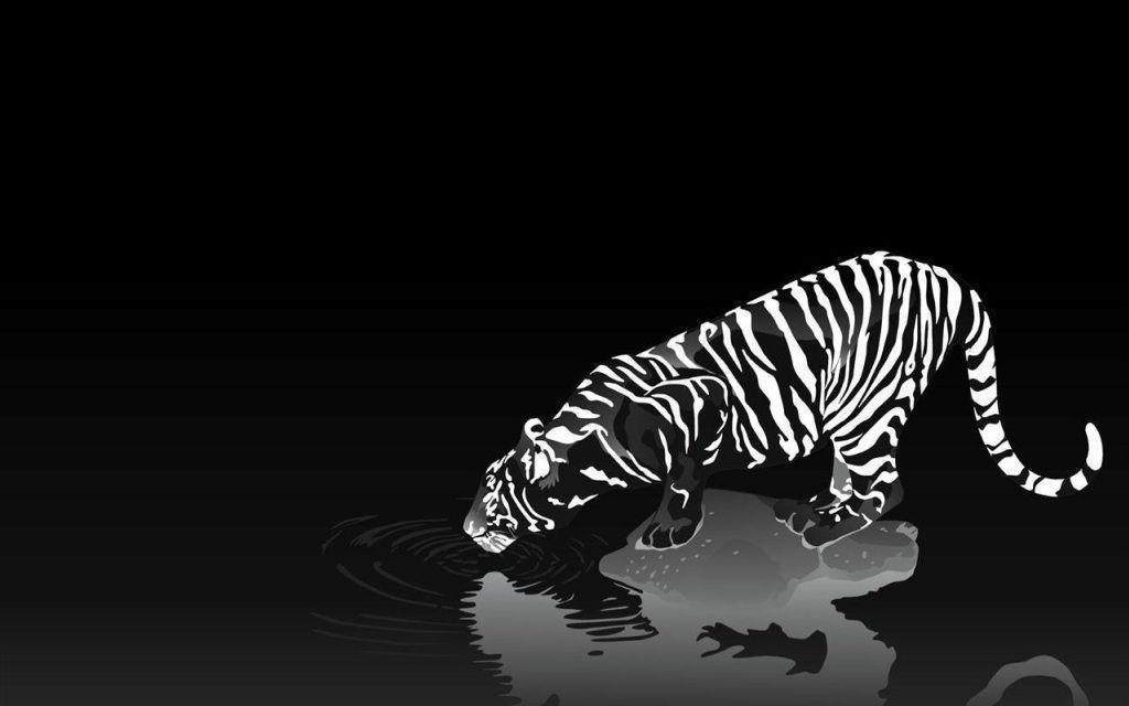Tiger Wallpaper Desk HD Wallpaper in Animals