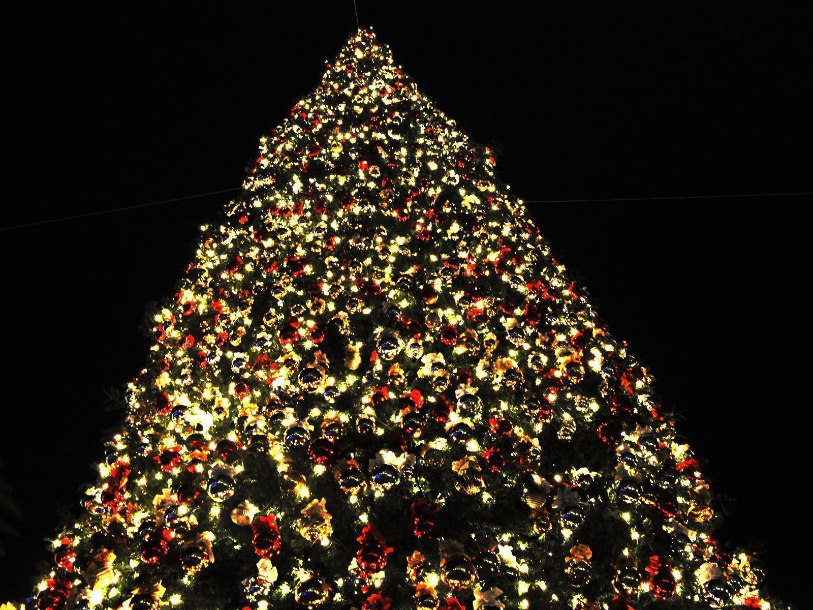 Christmas Tree Background