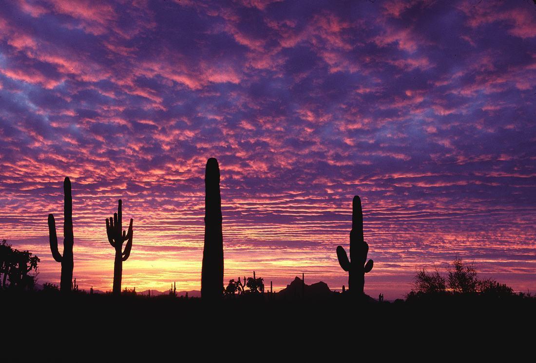 Arizona Backgrounds - Wallpaper Cave