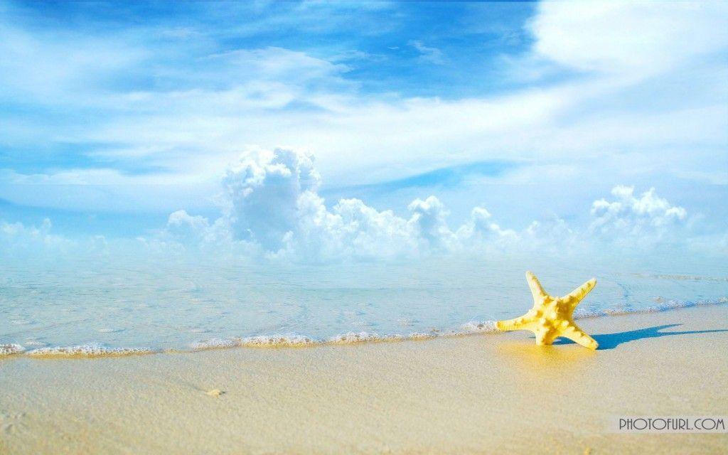 Summer HD Wallpaper Desktop