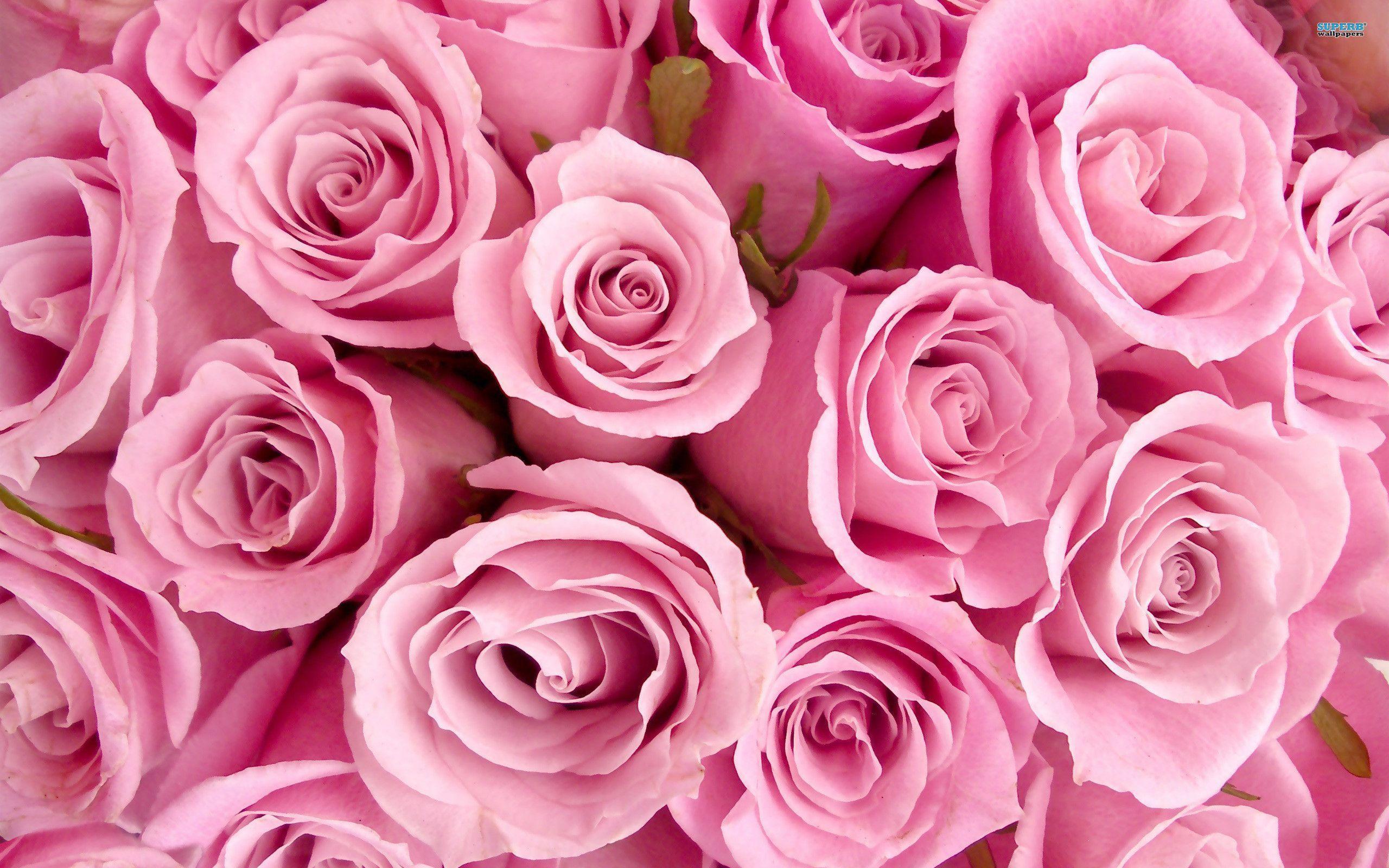 15 Outstanding pretty pink desktop wallpaper You Can Get It At No Cost ...