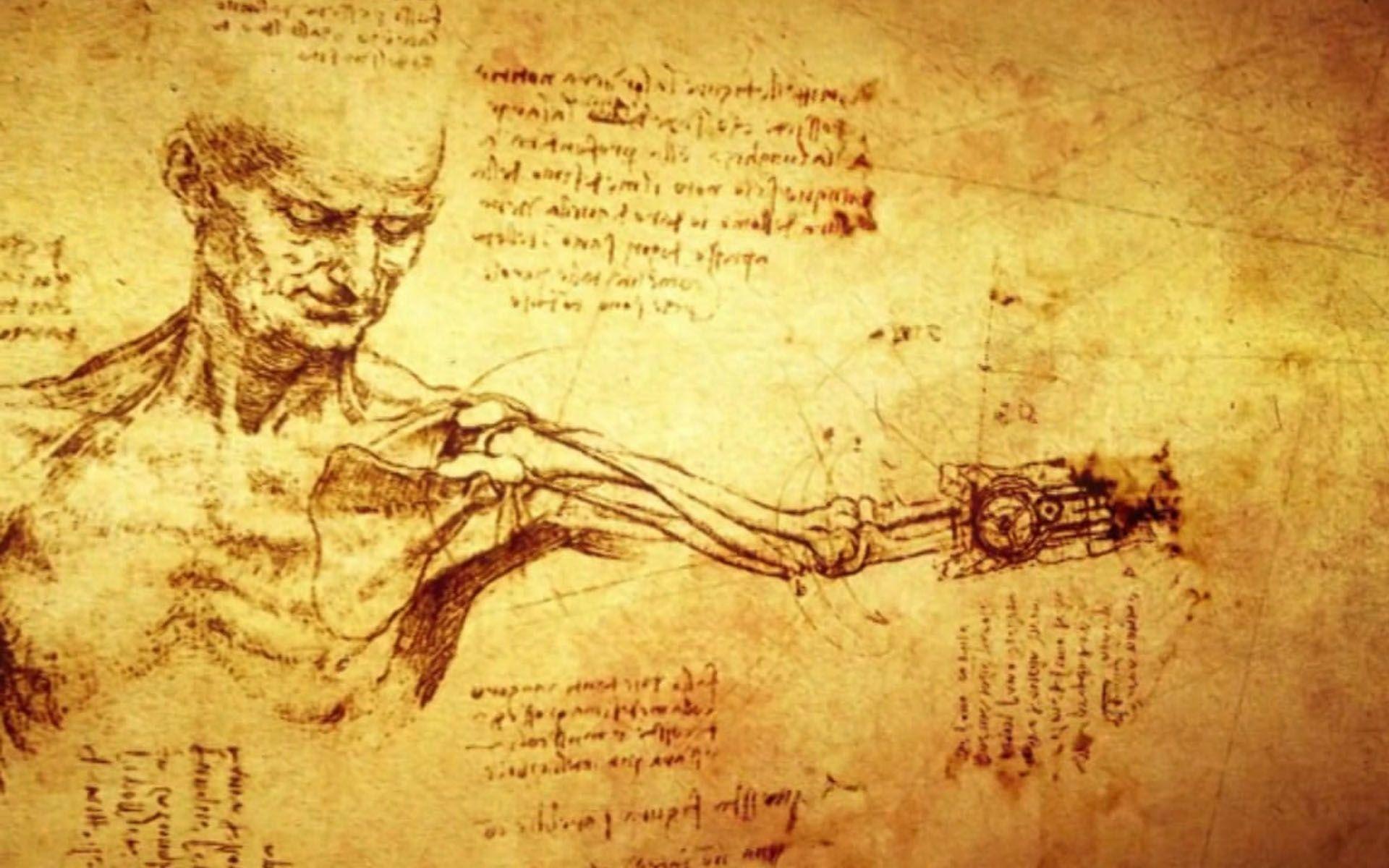 Da Vinci Drawings Wallpaper
