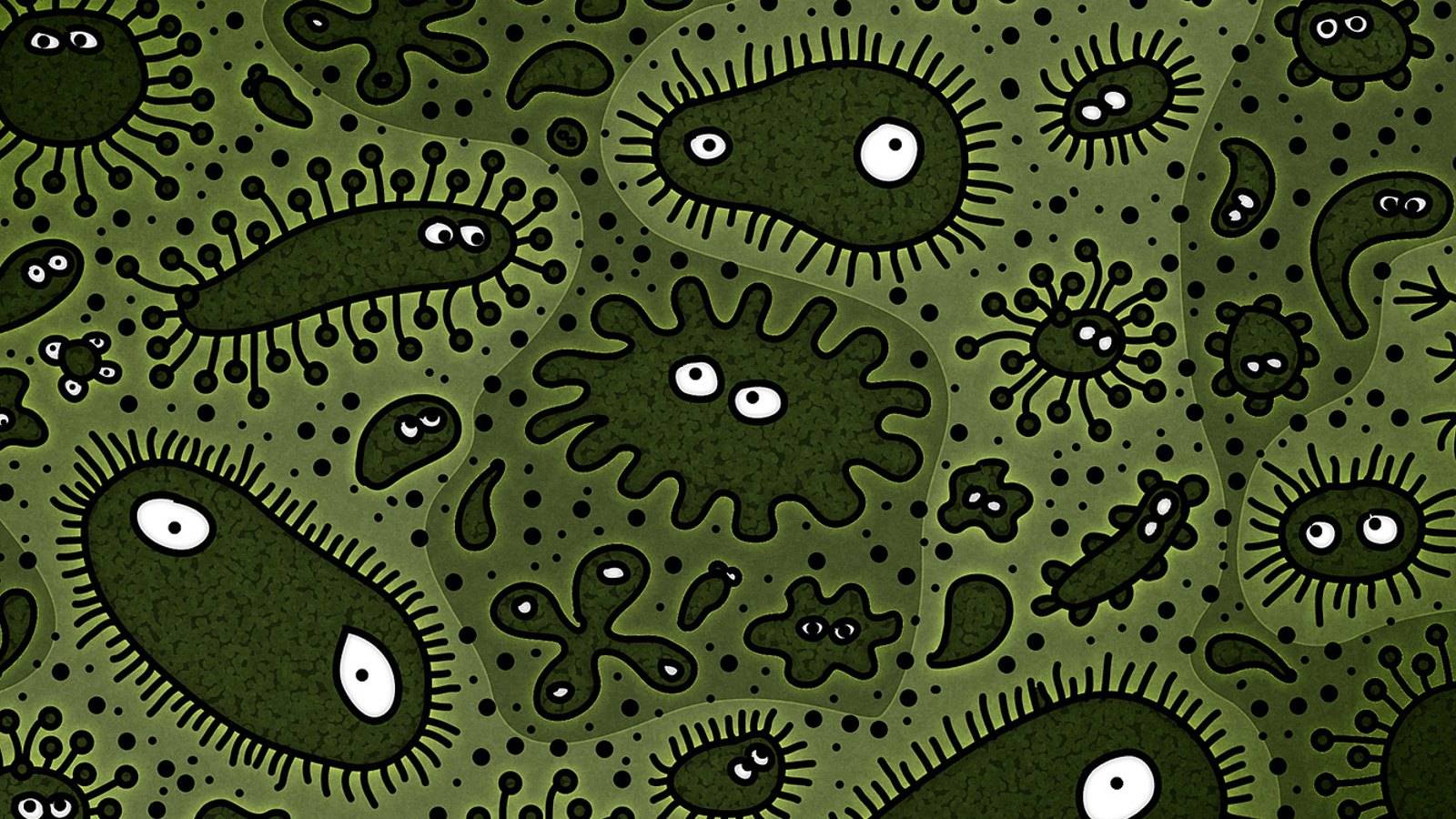 Wallpaper For > Bacteria Wallpaper