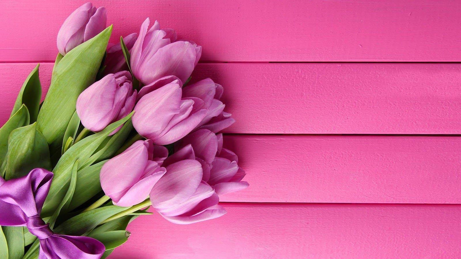 Pink Tulips Live Wallpaper Apps on Google Play