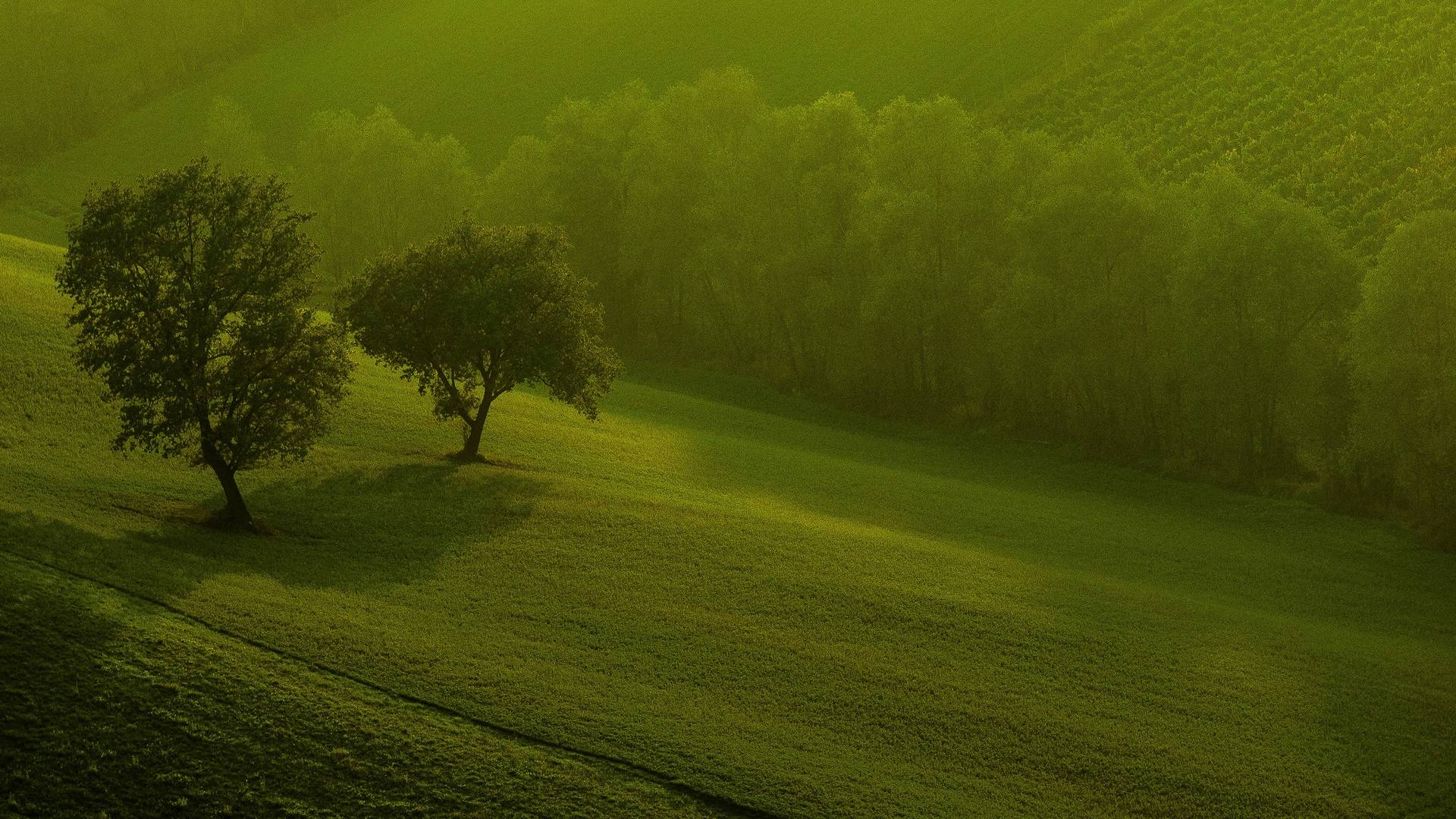 Wallpaper For > HD Wallpaper Of Nature For Window 8