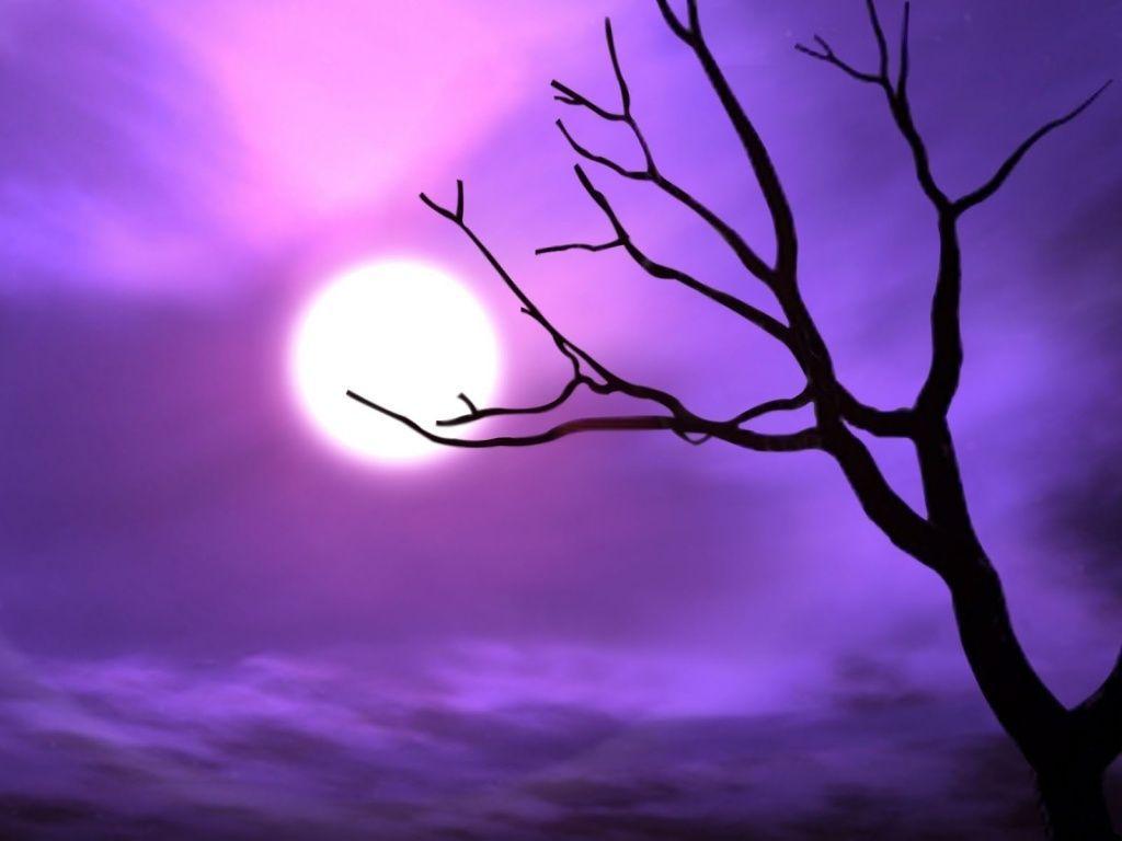 46 Awesome Purple Backgrounds