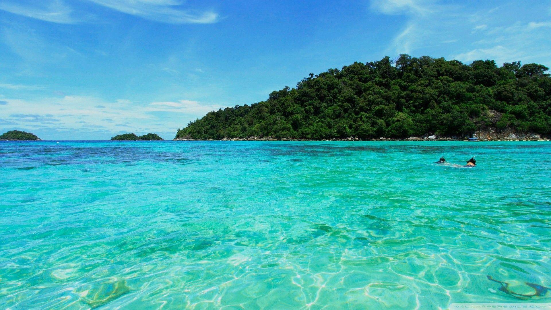 The Image of Blue Nature Trees Seas Islands Fresh HD Wallpaper