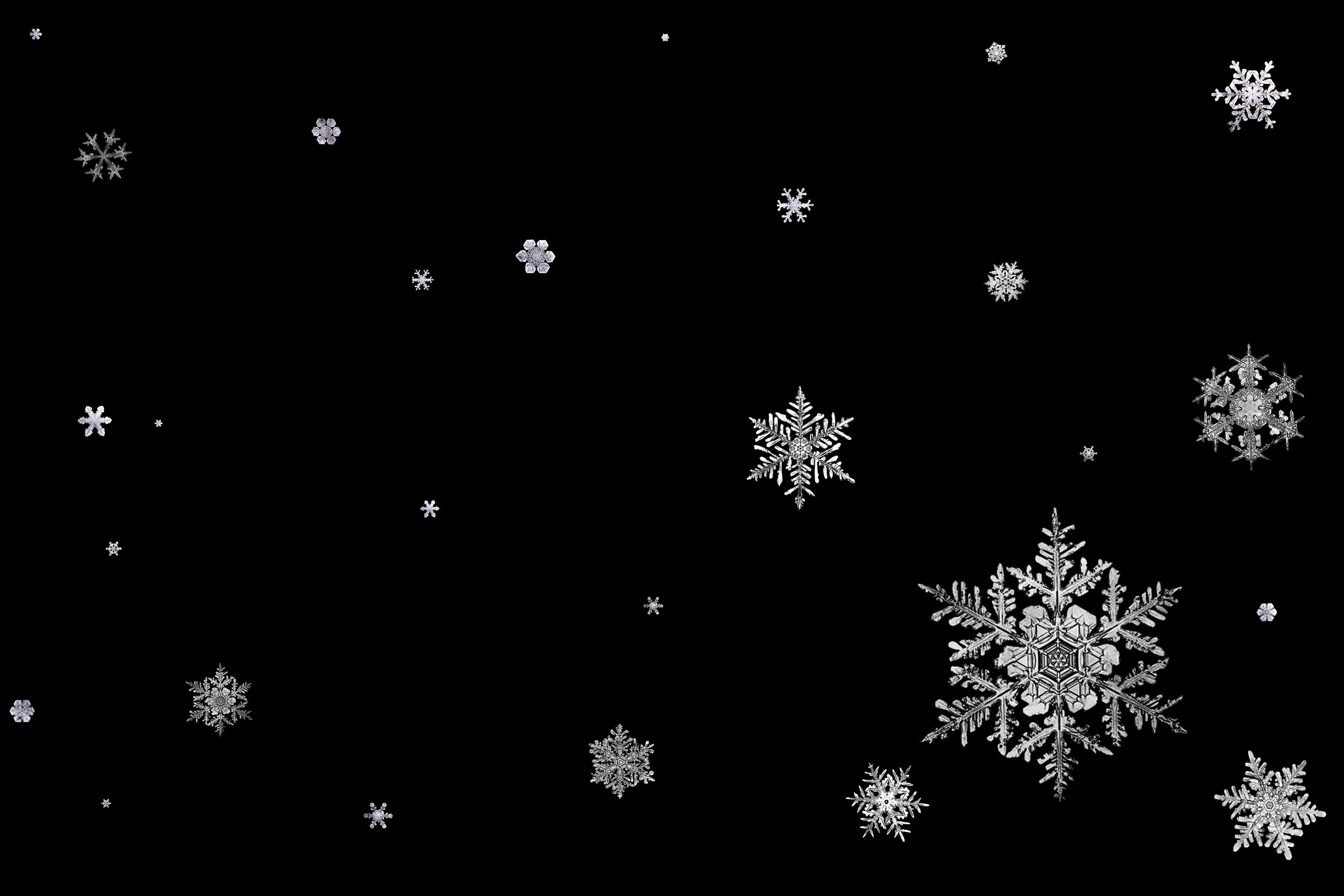 Black And White Snowflake Background. True HD Picture