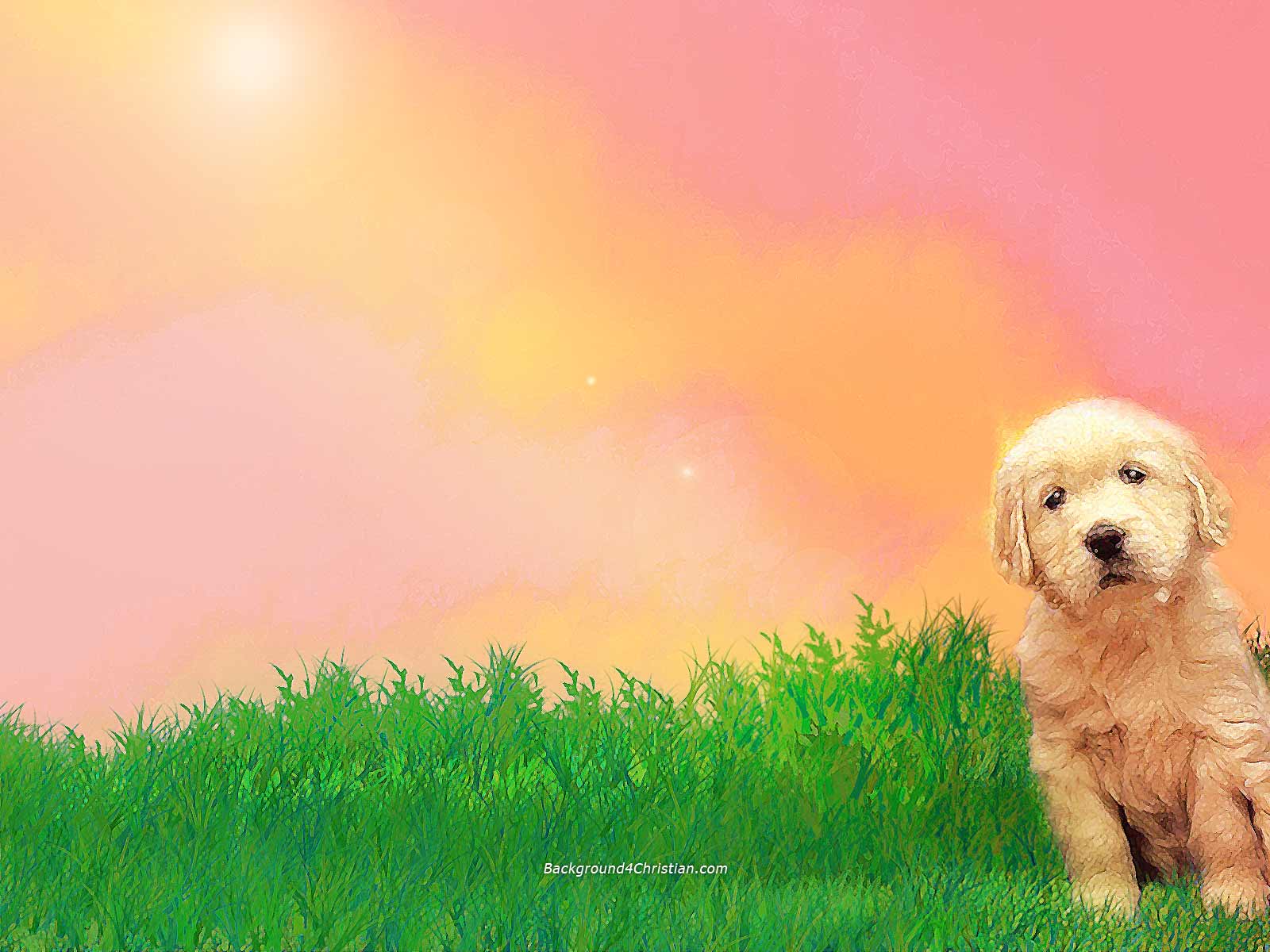 Cute Background Wallpaper and Background