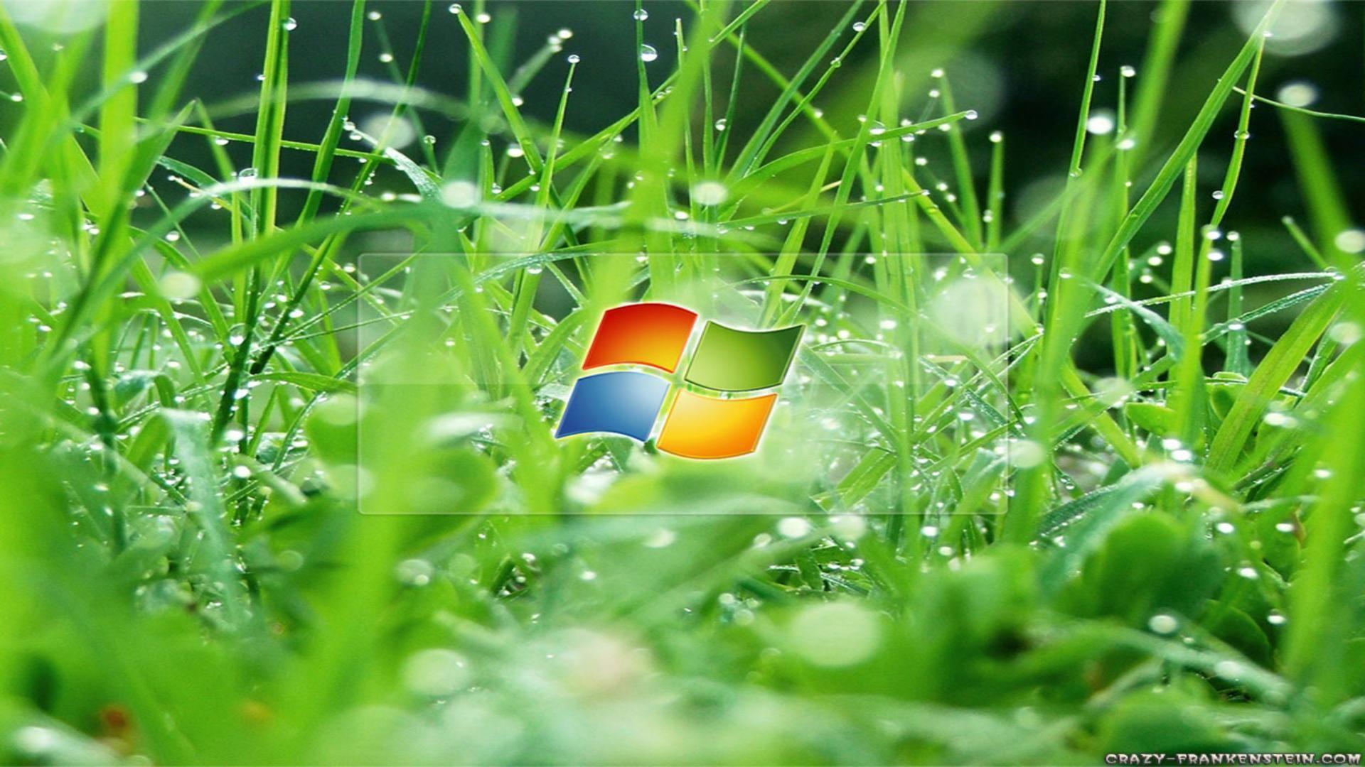 Wallpaper windows background desktop grass background eight