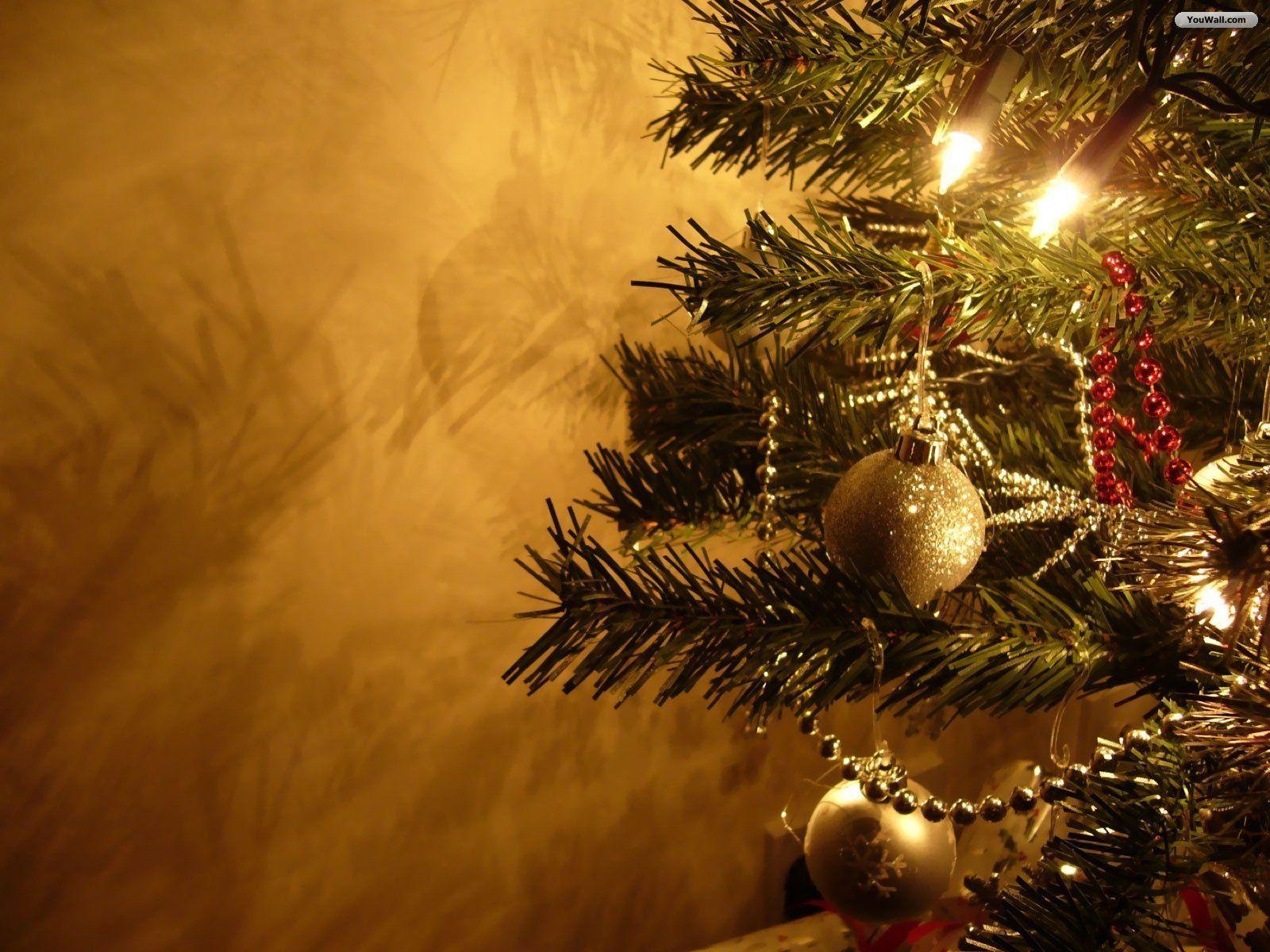 Christmas Tree Wallpapers Wallpaper Cave