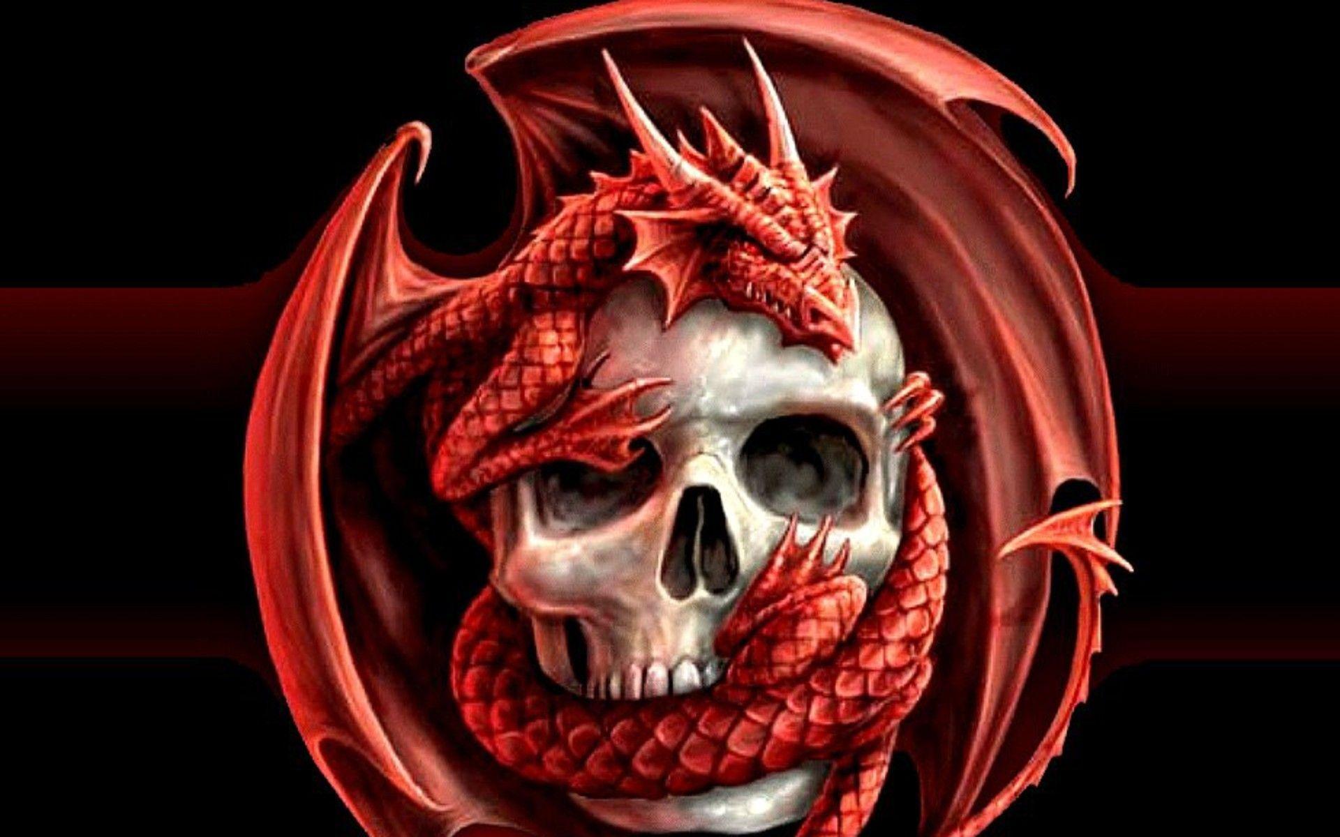 Download Skulls Dragons Wallpaper 1920x1200