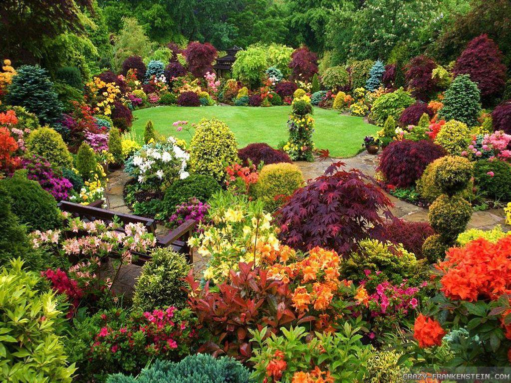 picture of beautiful flower gardens. All new image