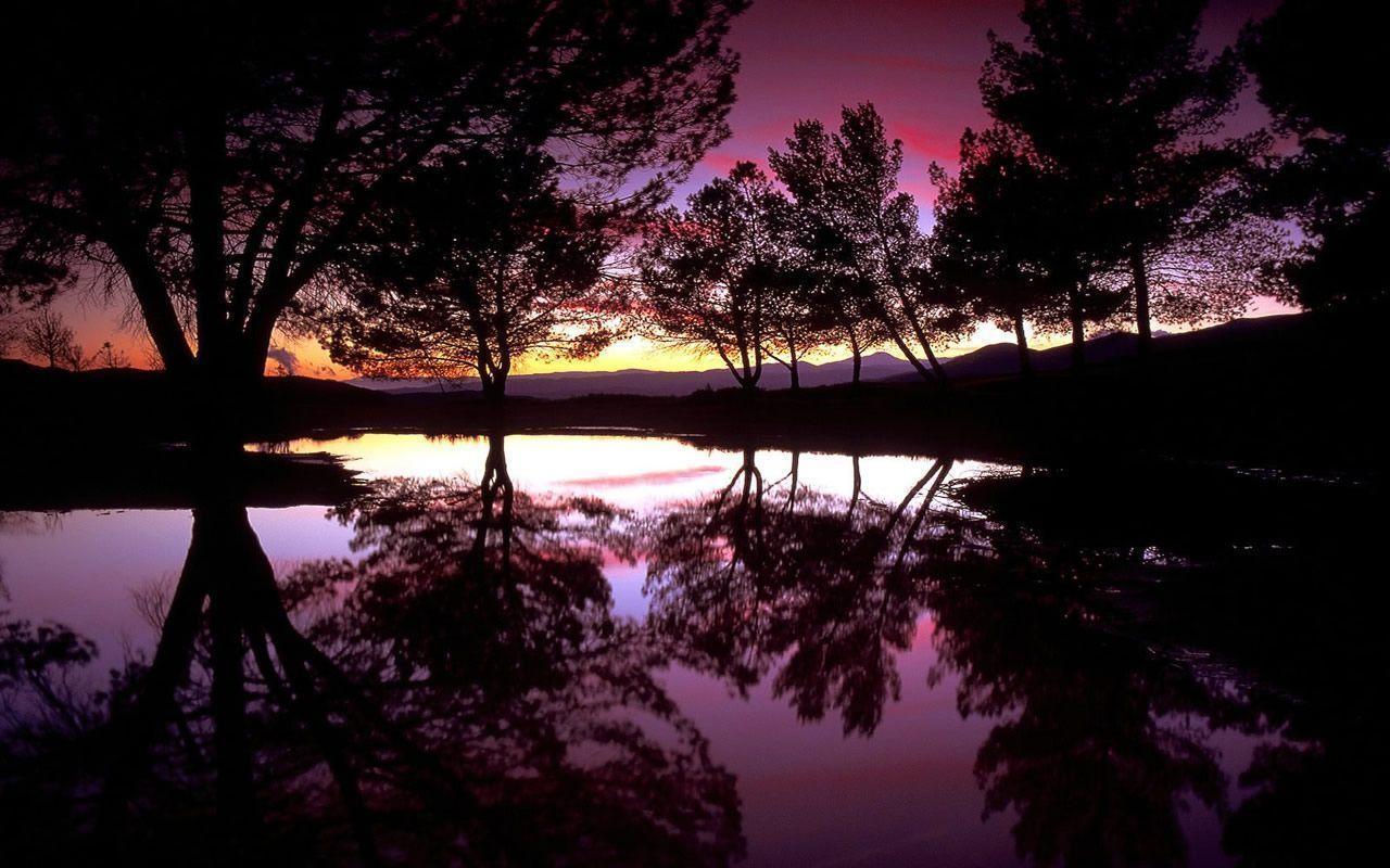 Desktop Background Wallpaper and Background