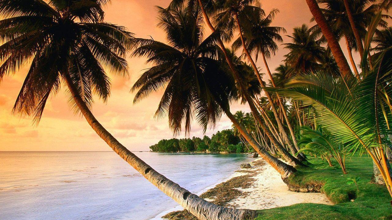 Hd Wallpaper of Nature for Mobile Samsung for Desktop for Mobile