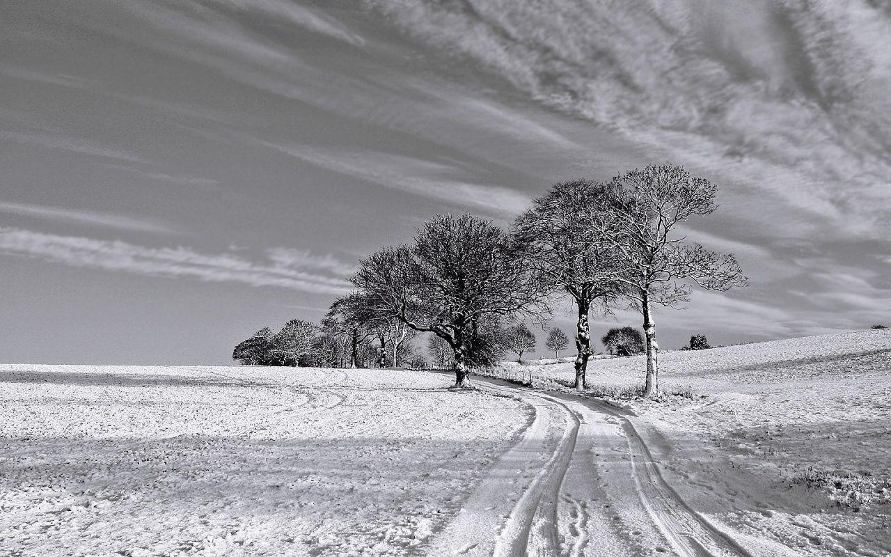 Black and White Winter desktop PC and Mac wallpaper