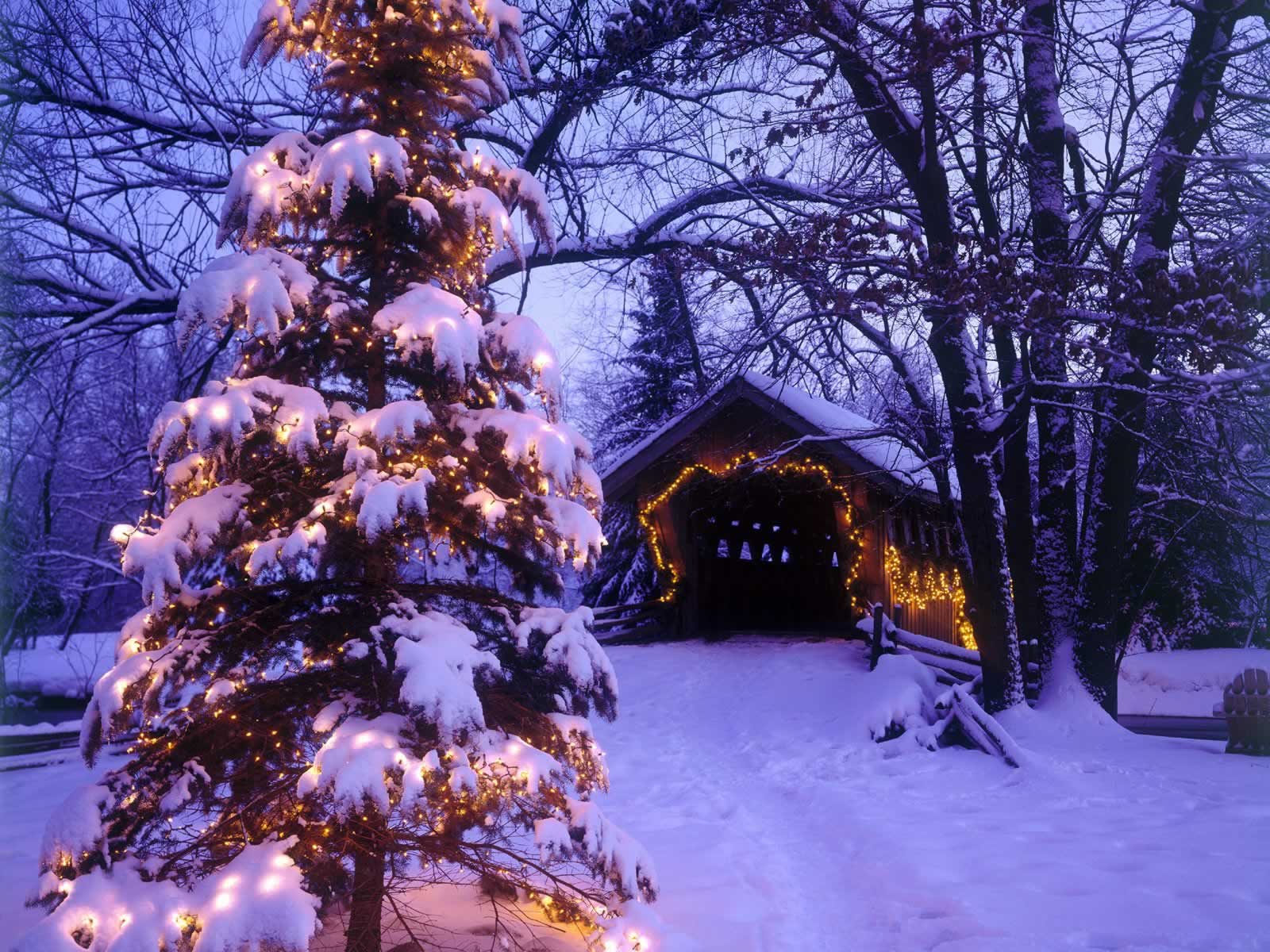 Christmas Scenery Wallpapers - Wallpaper Cave