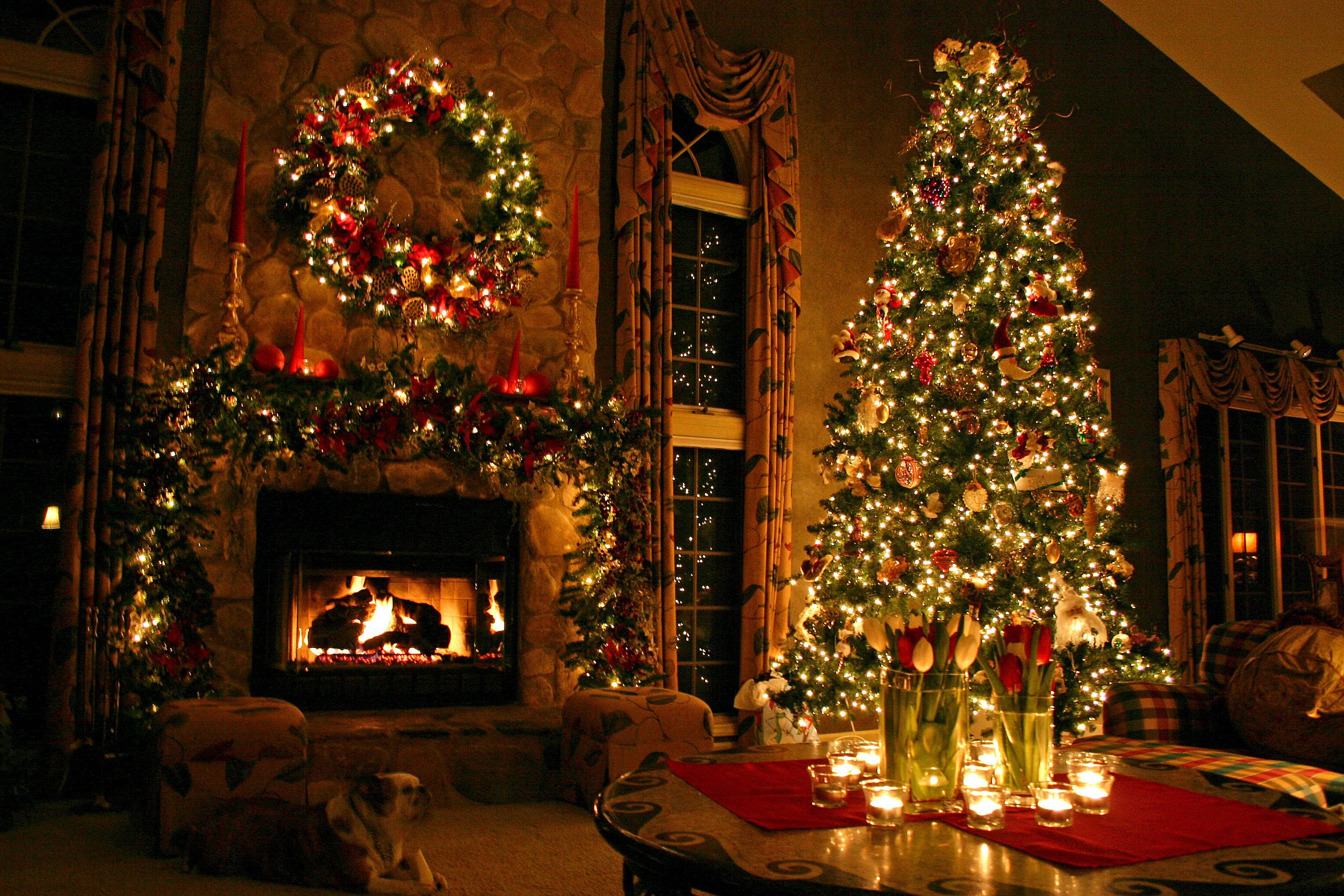 Beautiful Christmas tree Wallpaper