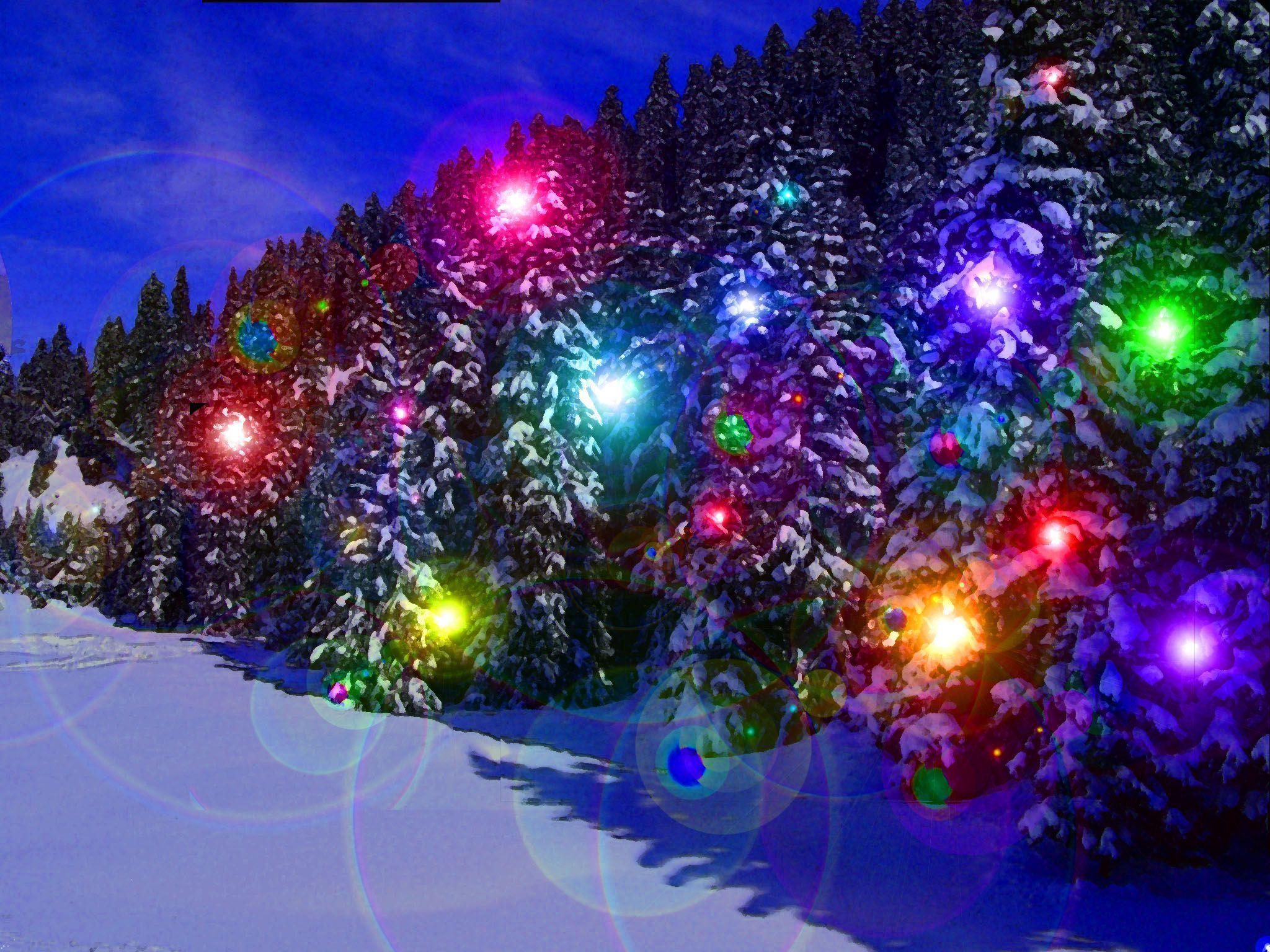 Christmas Winter HD Lights wallpaper