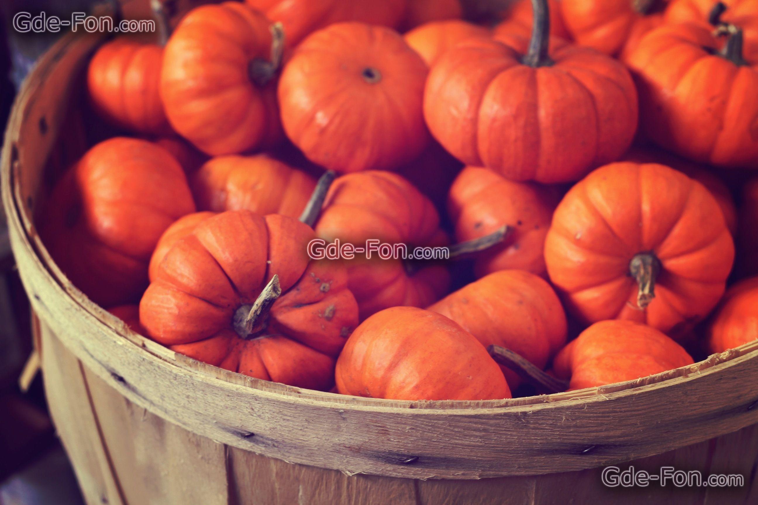 pumpkin desktop wallpaper