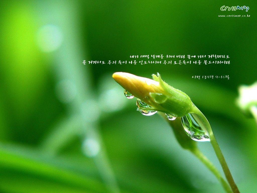 Christian Bible Wallpaper HD