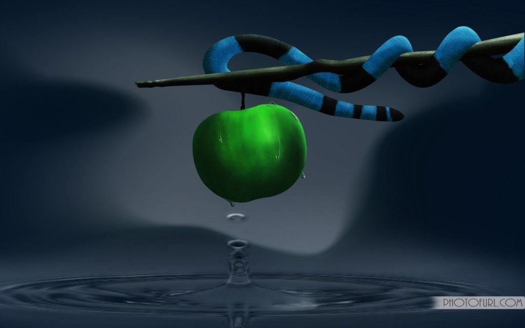 Simple Beautiful Computer Wallpaper HD Desktop