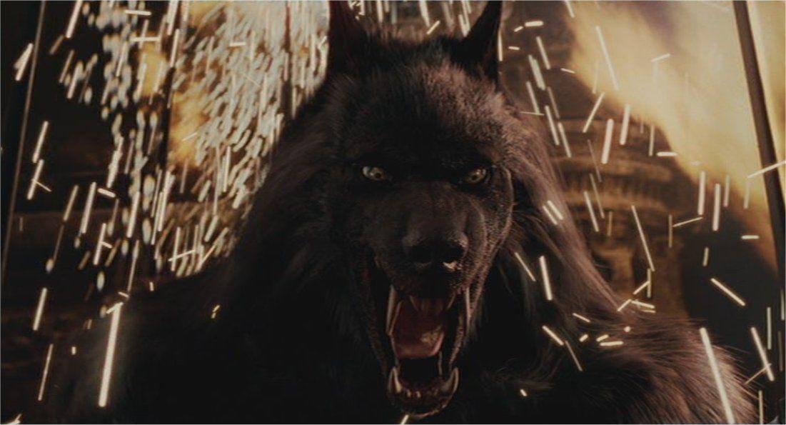 Van Helsing Werewolf By Vincent Is Mine