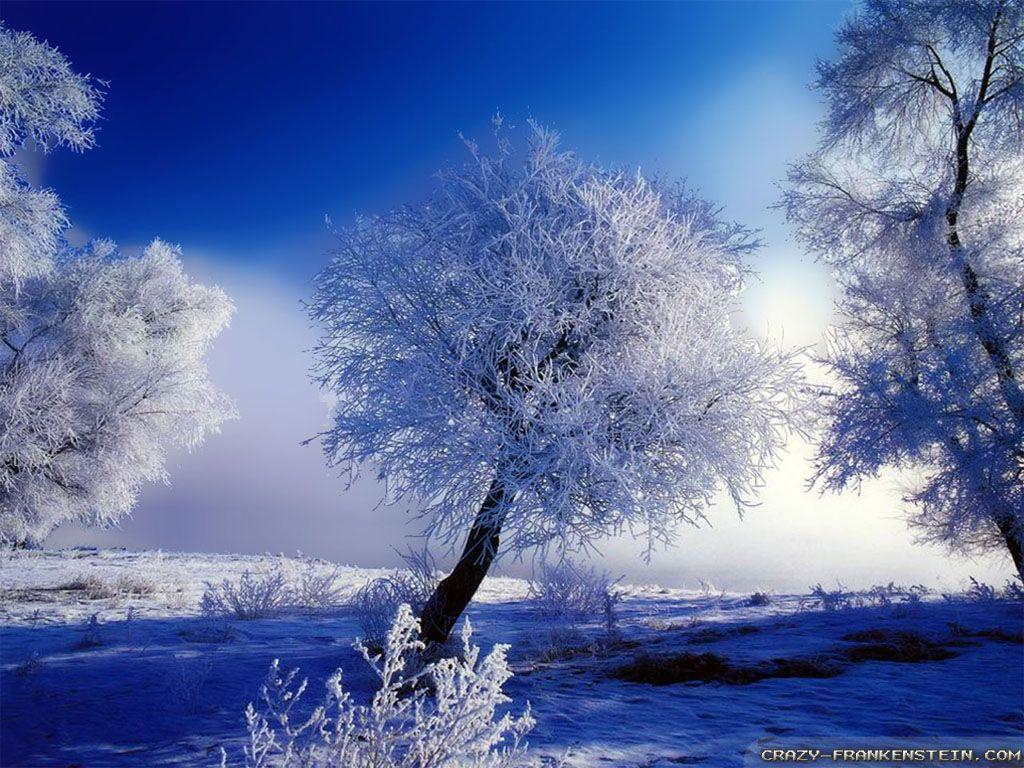 Free Winter Landscape Photo Image 6 HD Wallpaper. Natureimgz