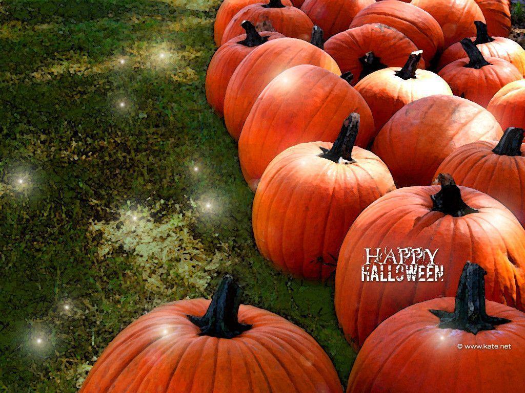 Halloween Pumpkin Desktop Background Image & Picture