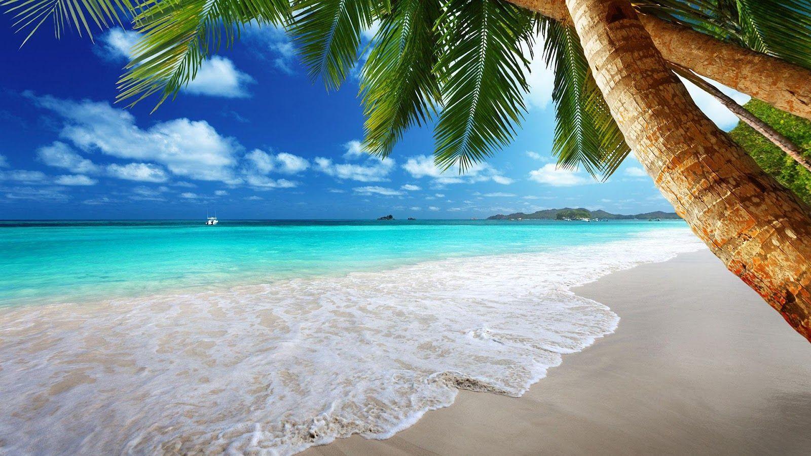 Beautiful Beach Wallpaper 5