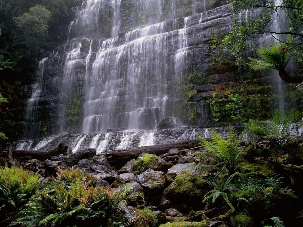 Download Forest Waterfall Nwfstrgq Wallpaper. Full HD Wallpaper