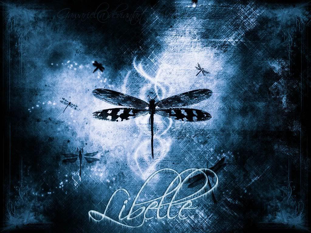 Dragonfly Wallpaper Background