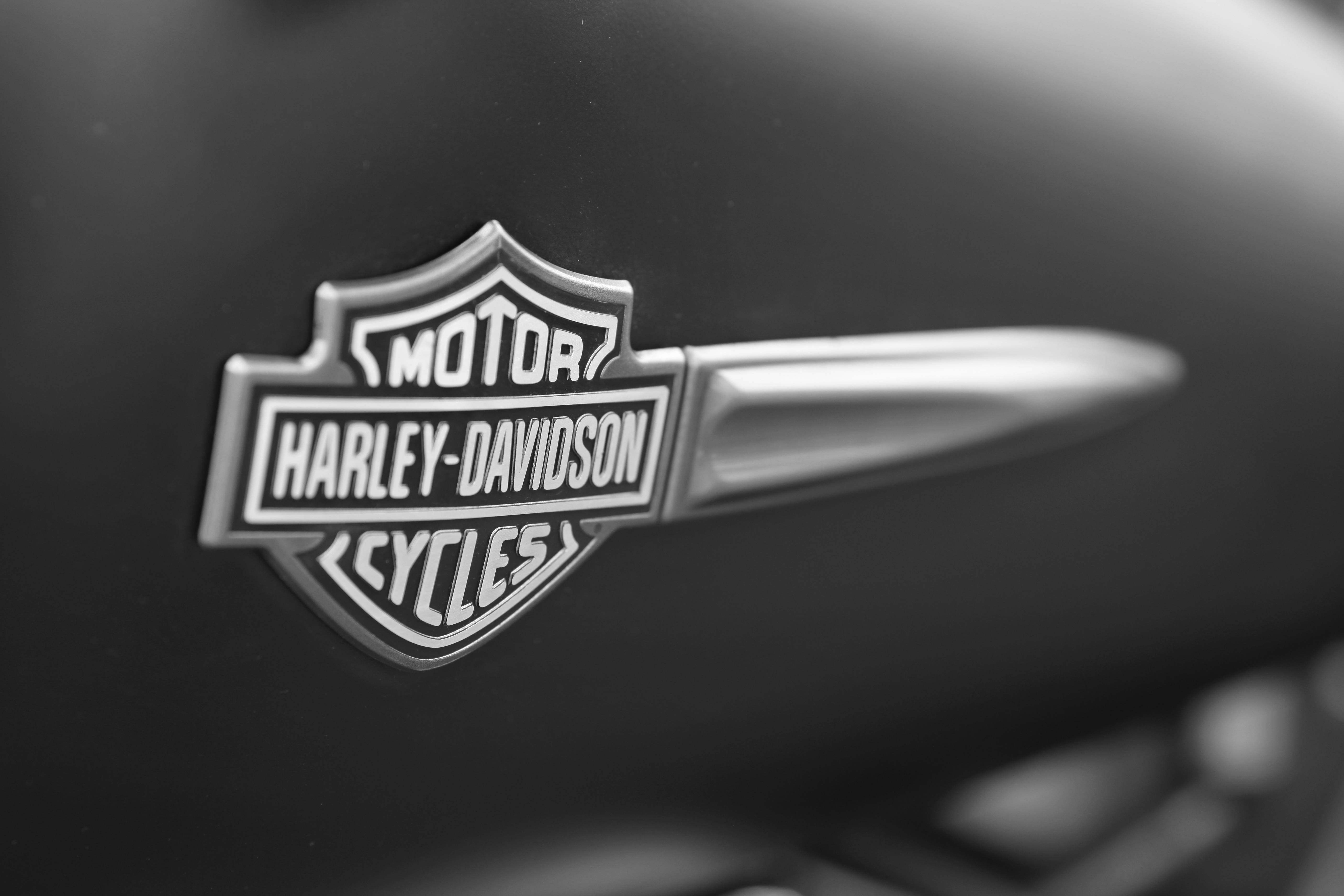 Harley Davidson Motor Logo 2013 HD Desktop Backgrounds