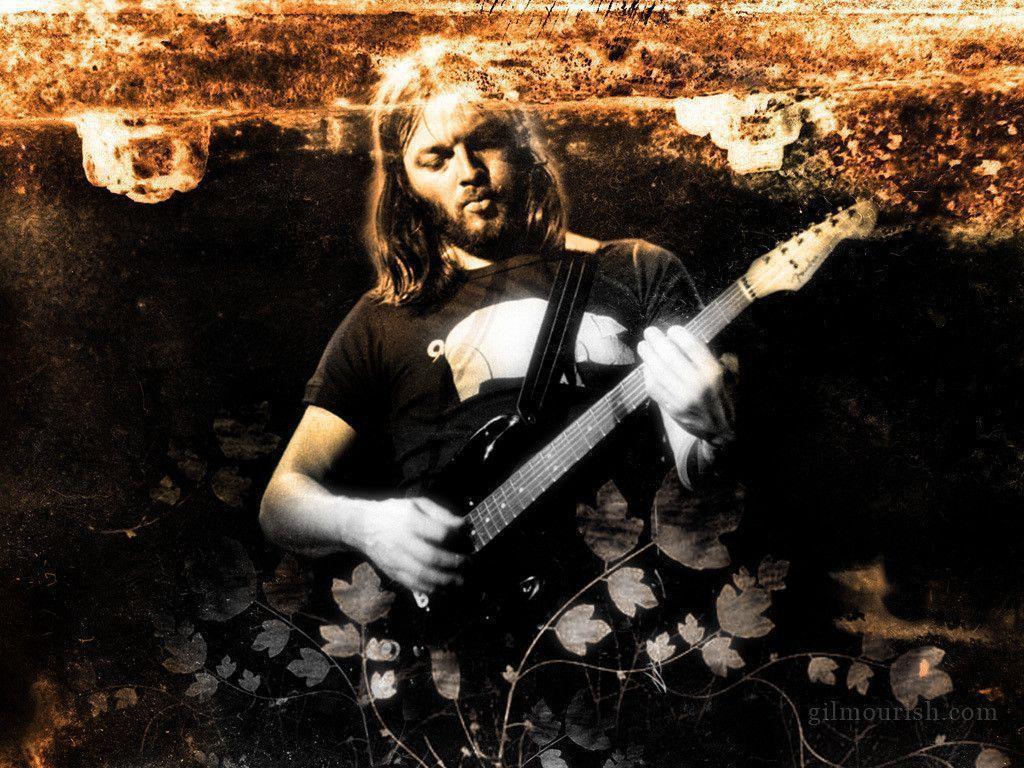 David Gilmour image wall HD wallpaper and background photo