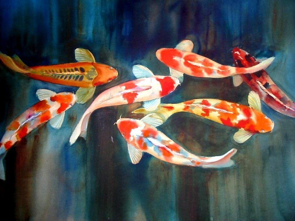 Animals For > Koi Fish Wallpaper For Walls