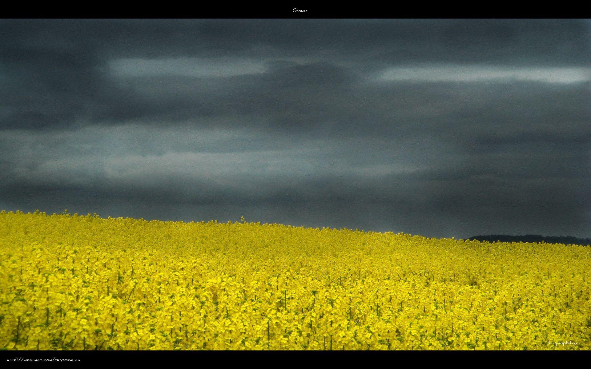 Storm desktop wallpaper background Image In HD