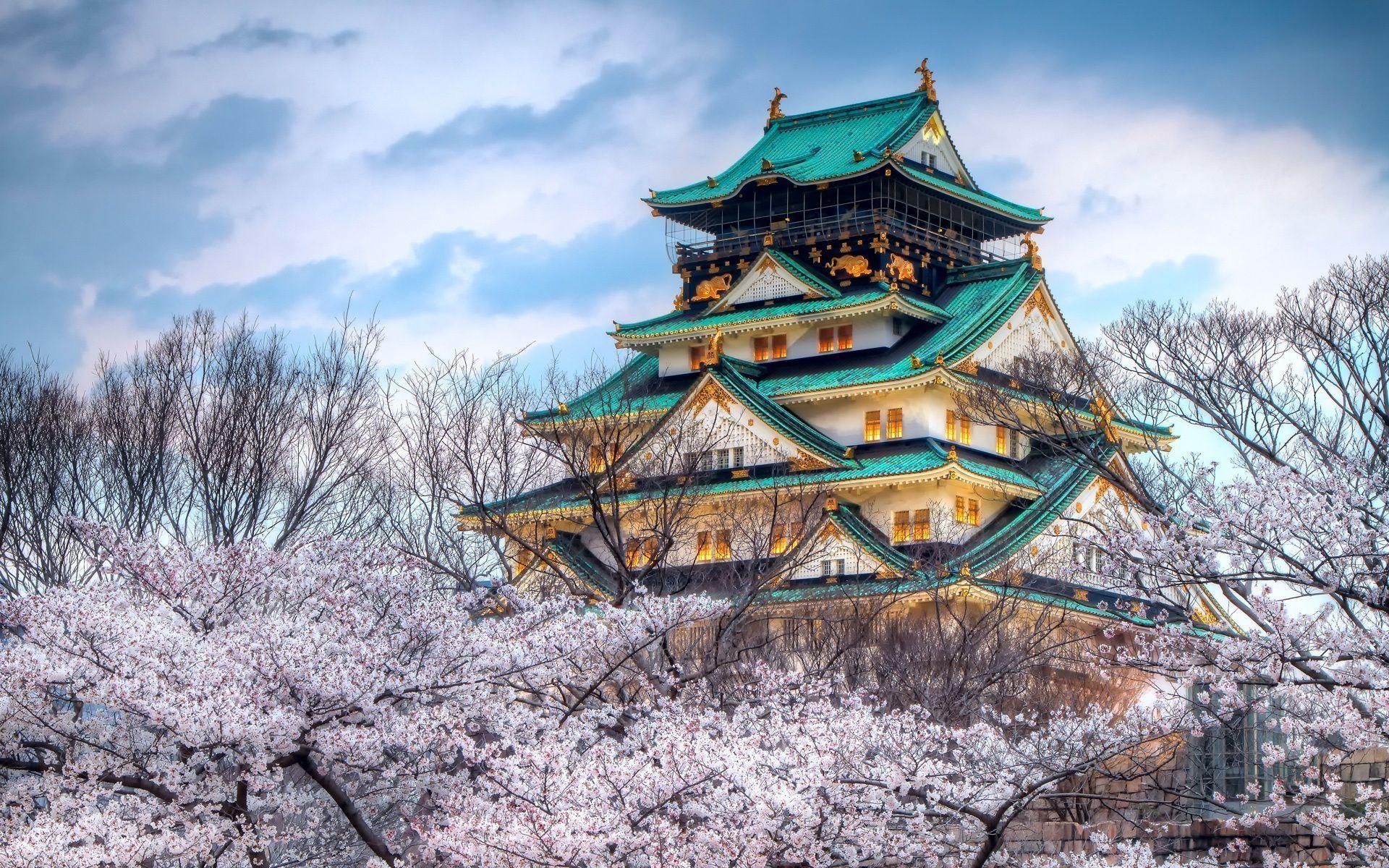 The Temple Of The Cherry Blossom Season In Japan
