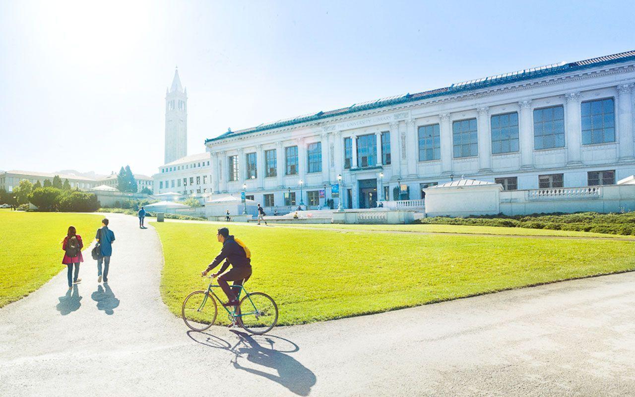 Berkeley Undergraduate Scholarship
