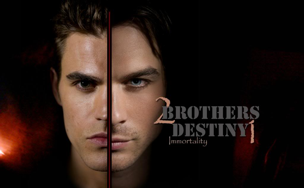 Vampire Diaries Damon Wallpaper