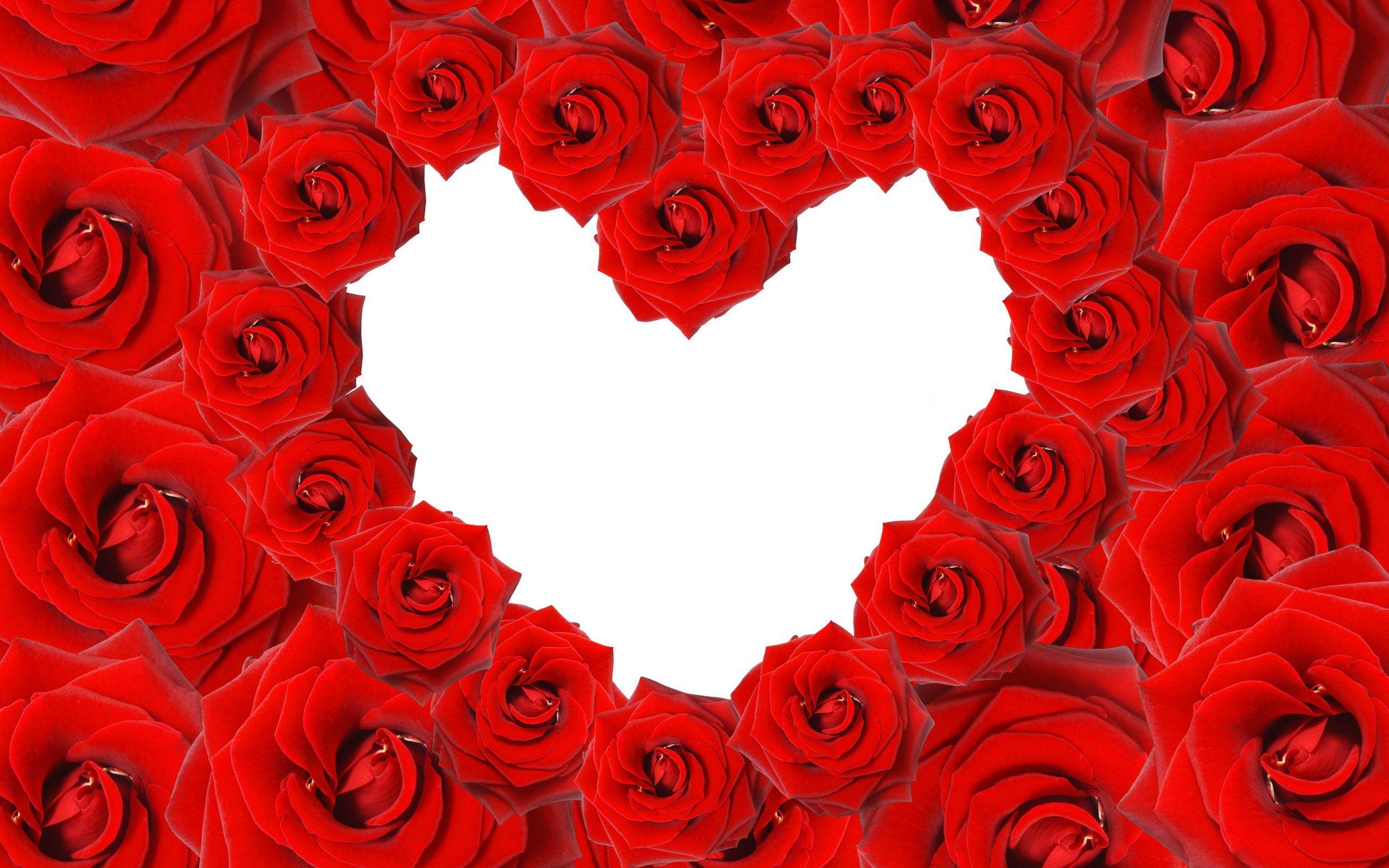 knumathise: Red Rose Heart Wallpaper Image