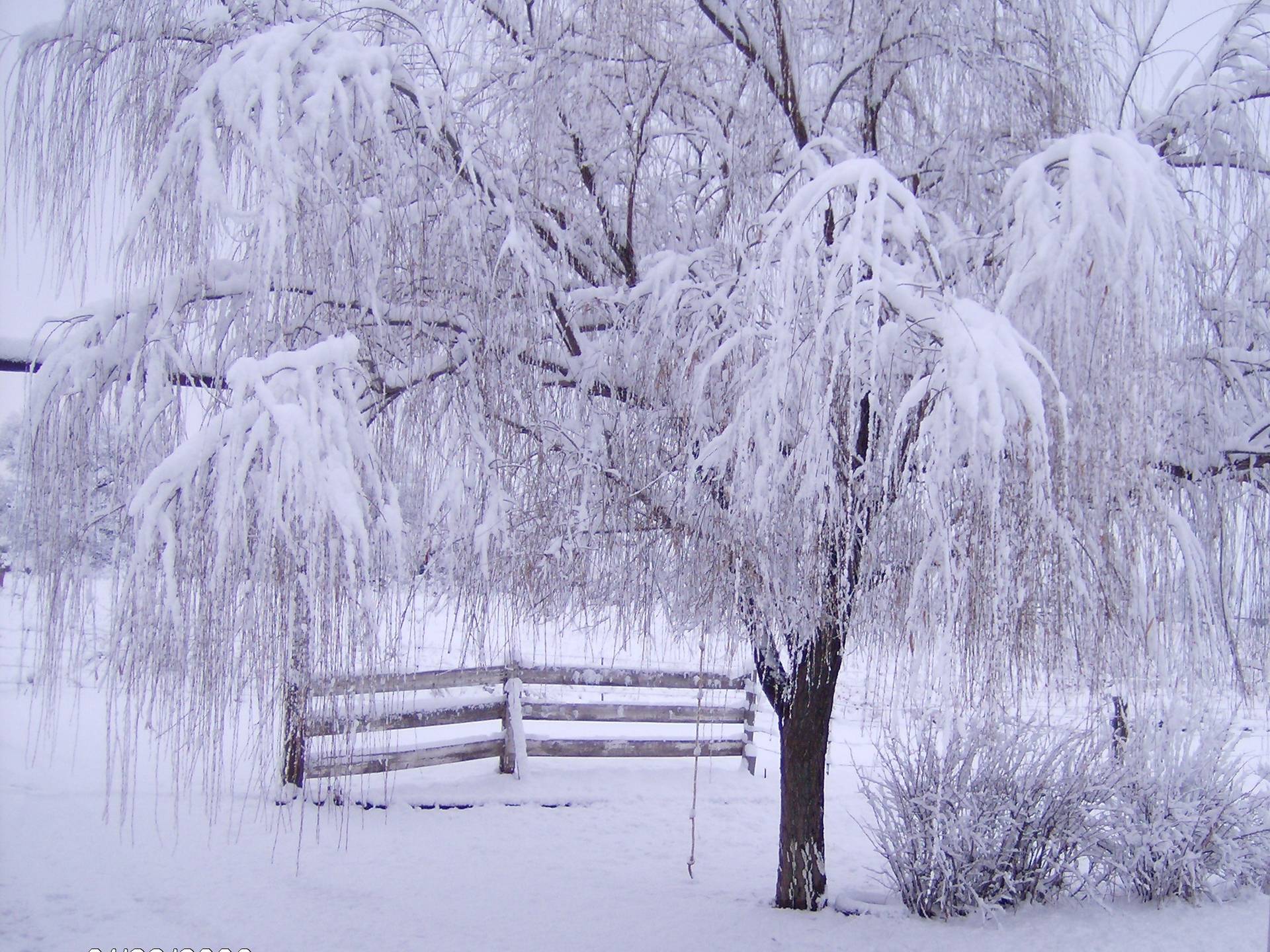 Winter Season landscape scenes Wallpaper free download