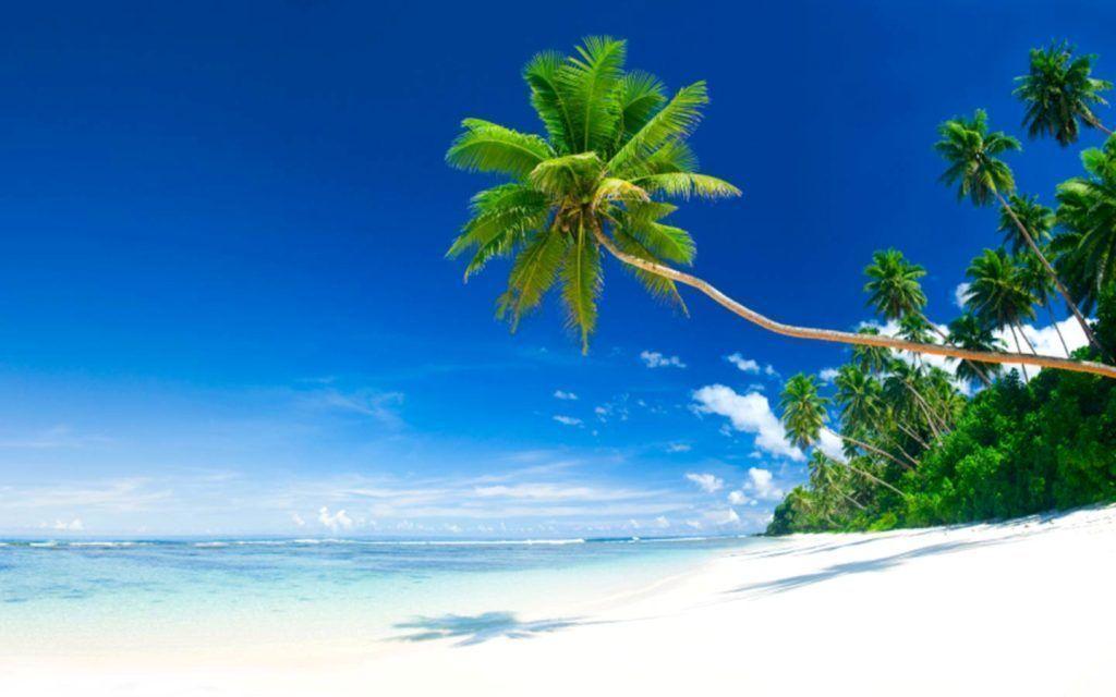 Tropical Beach. Download HD Wallpaper