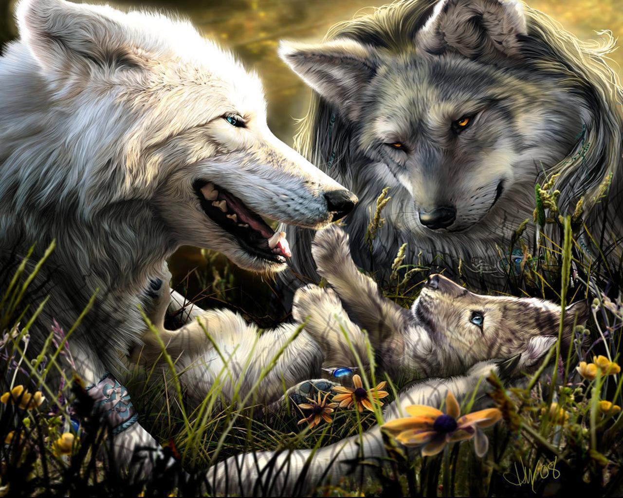 Beautiful Wolves Wallpaper