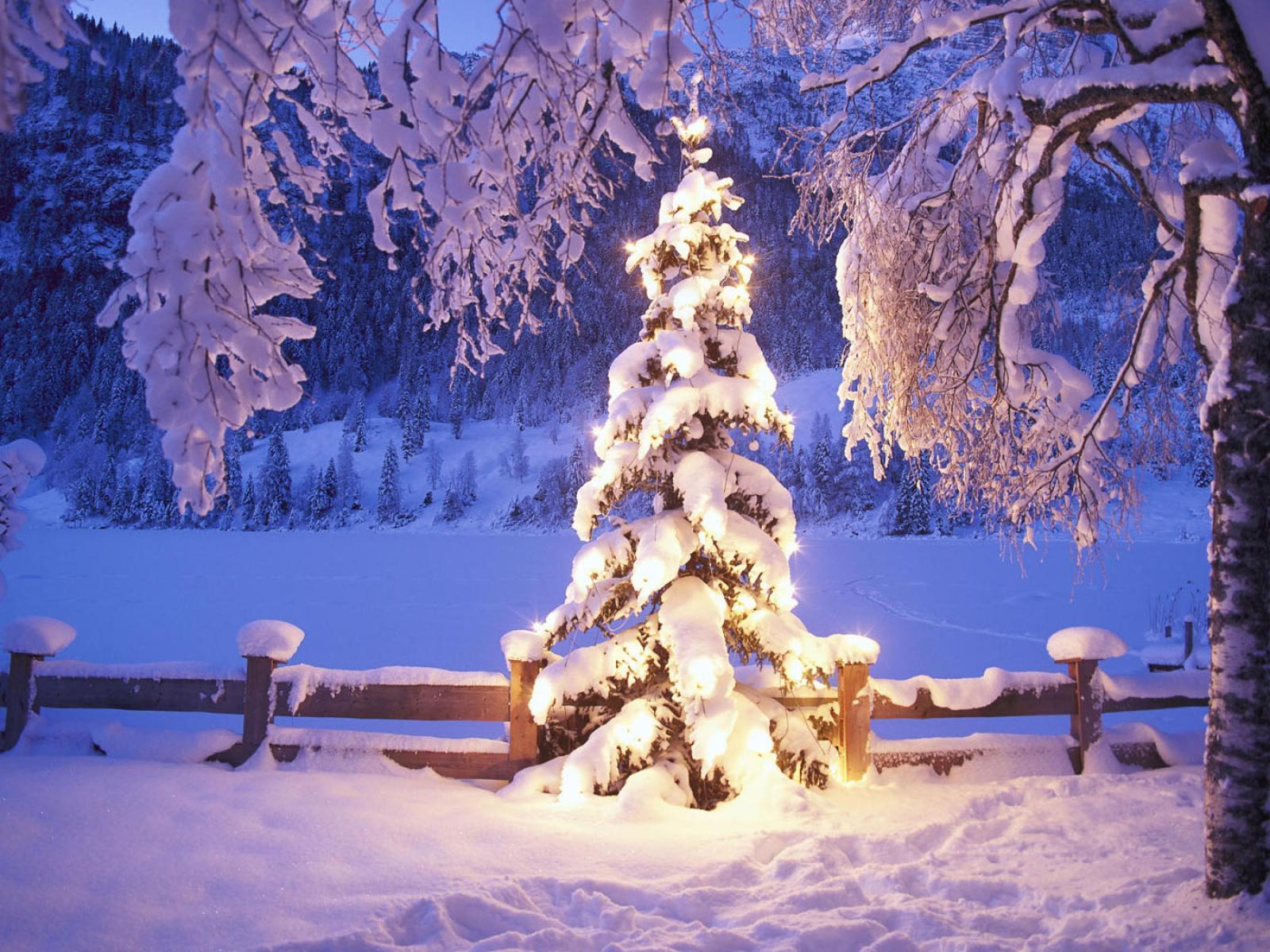 Pix For > Beautiful Winter Scenery Wallpaper