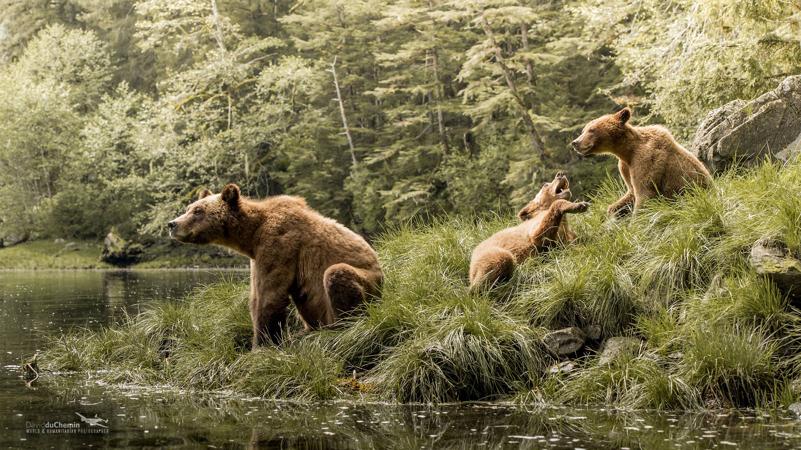 Sandy Summers Wallpapers - Wallpaper Cave