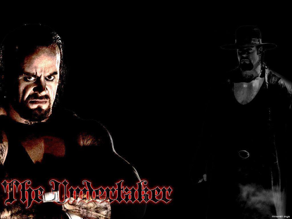 The Undertaker. WWE Survivor Series, WWE Superstars and WWE